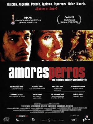 Amores perros